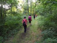 ALLENAMENTO DI NORDIC WALKING