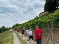 ALLENAMENTO DI NORDIC WALKING