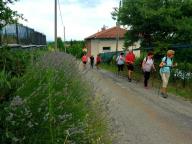 ALLENAMENTO DI NORDIC WALKING