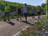 ALLENAMENTO DI NORDIC WALKING