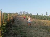 ALLENAMENTO DI NORDIC WALKING