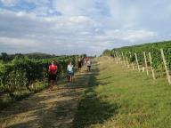 ALLENAMENTO DI NORDIC WALKING