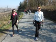 NORDIC WALKING DI BENESSERE