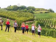 ALLENAMENTI DI NORDIC WALKING