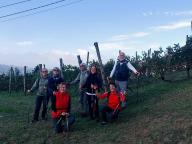 CAMMINATE IN TECNICA NORDIC WALKING