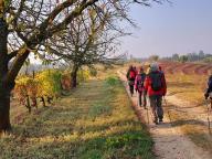 ALLENAMENTI DI NORDIC WALKING