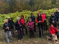 ALLENAMENTI DI NORDIC WALKING