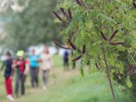 CORSO BASE di NORDIC WALKING