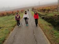 ALLENAMENTI DI NORDIC WALKING