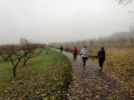 ALLENAMENTI DI NORDIC WALKING