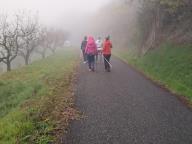 ALLENAMENTI DI NORDIC WALKING