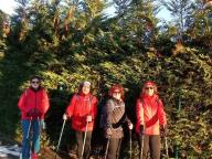 ALLENAMENTI DI NORDIC WALKING