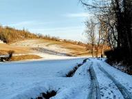 ALLENAMENTO DI NORDIC WALKING