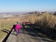 ALLENAMENTI DI NORDIC WALKING