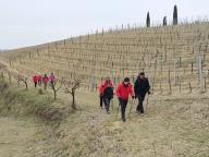 ALLENAMENTI DI NORDIC WALKING