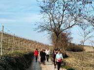 ALLENAMENTI DI NORDIC WALKING