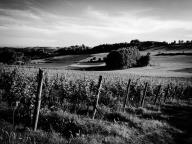 CAMMINATA ALLA RICERCA DI CILIEGIE