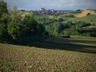 CAMMINATA ALLA RICERCA DI CILIEGIE