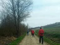 ALLENAMENTI DI NORDIC WALKING