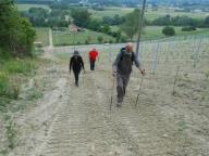 NORDIC WALKING PER INCISA SCAPACCINO