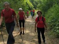 ALLENAMENTI DI NORDIC WALKING