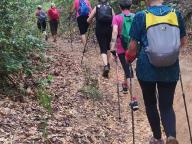 ALLENAMENTI DI NORDIC WALKING