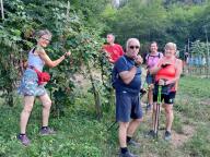 ALLENAMENTI DI NORDIC WALKING