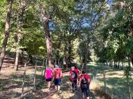 ALLENAMENTI DI NORDIC WALKING