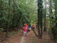 ALLENAMENTI DI NORDIC WALKING