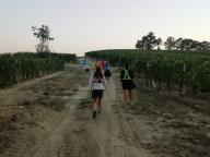 ALLENAMENTI DI NORDIC WALKING