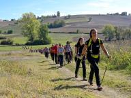 XV FESTIVAL INTERNAZIONALE DI NORDIC WALKING