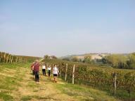 ALLENAMENTI DI NORDIC WALKING