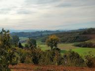 ALLENAMENTO DI NORDIC WALKING