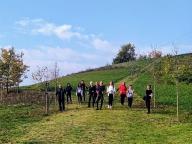 ALLENAMENTO DI NORDIC WALKING