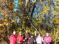 ALLENAMENTI DI NORDIC WALKING