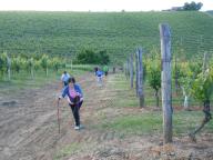 NORDIC WALKING PER I SENTIERI DI NIZZA