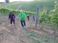 NORDIC WALKING PER I SENTIERI DI NIZZA