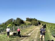 ALLENAMENTO DI NORDIC WALKING