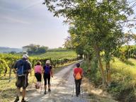 ALLENAMENTO DI NORDIC WALKING