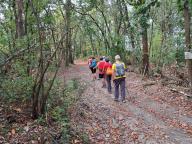 ALLENAMENTO DI NORDIC WALKING