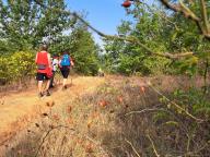 ALLENAMENTO DI NORDIC WALKING