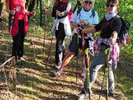 ALLENAMENTO DI NORDIC WALKING