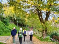 NORDIC WALKING BENESSERE