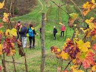 ALLENAMENTO DI NORDIC WALKING