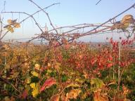 ALLENAMENTO DI NORDIC WALKING