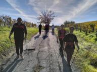 ALLENAMENTO DI NORDIC WALKING