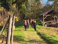 ALLENAMENTO DI NORDIC WALKING