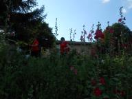 CAMMINATA PER LE COLLINE DI NIZZA M.