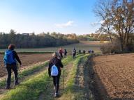 ALLENAMENTO DI NORDIC WALKING