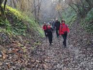 ALLENAMENTO DI NORDIC WALKING